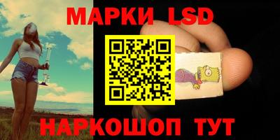 МДПВ Донецк