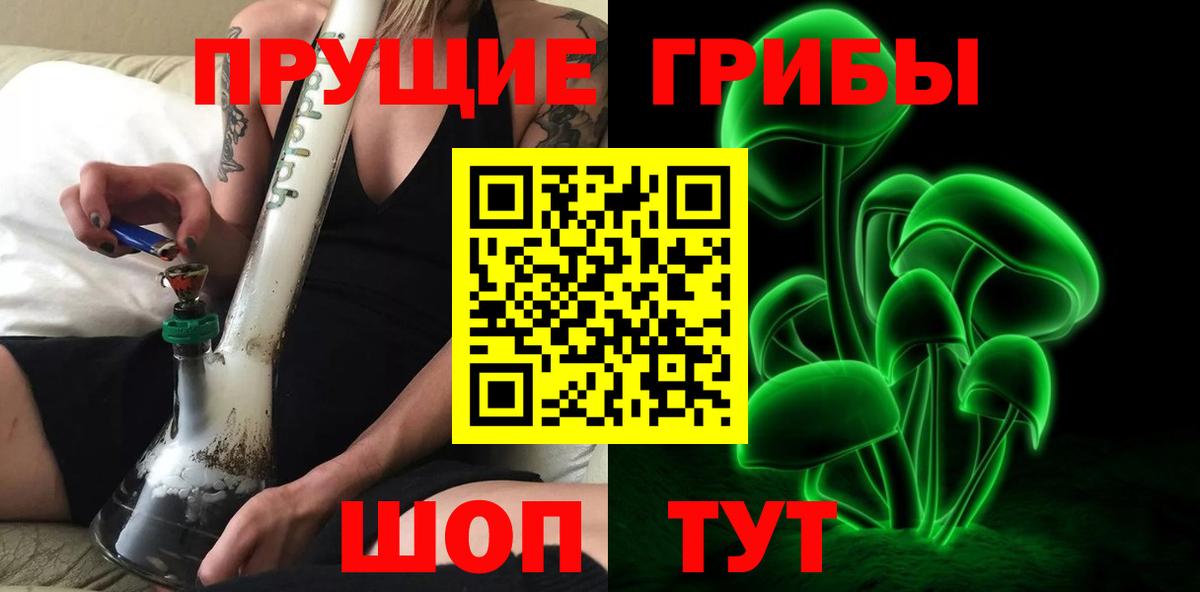 Галлюциногенные грибы Cubensis  Вход с VPN  Новоалександровск 